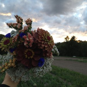 /srv/mudcreek/media/bouquet_sky.JPG